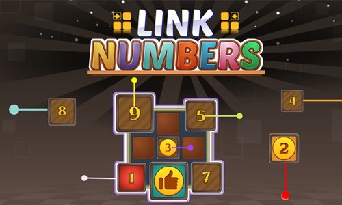 Link Numbers